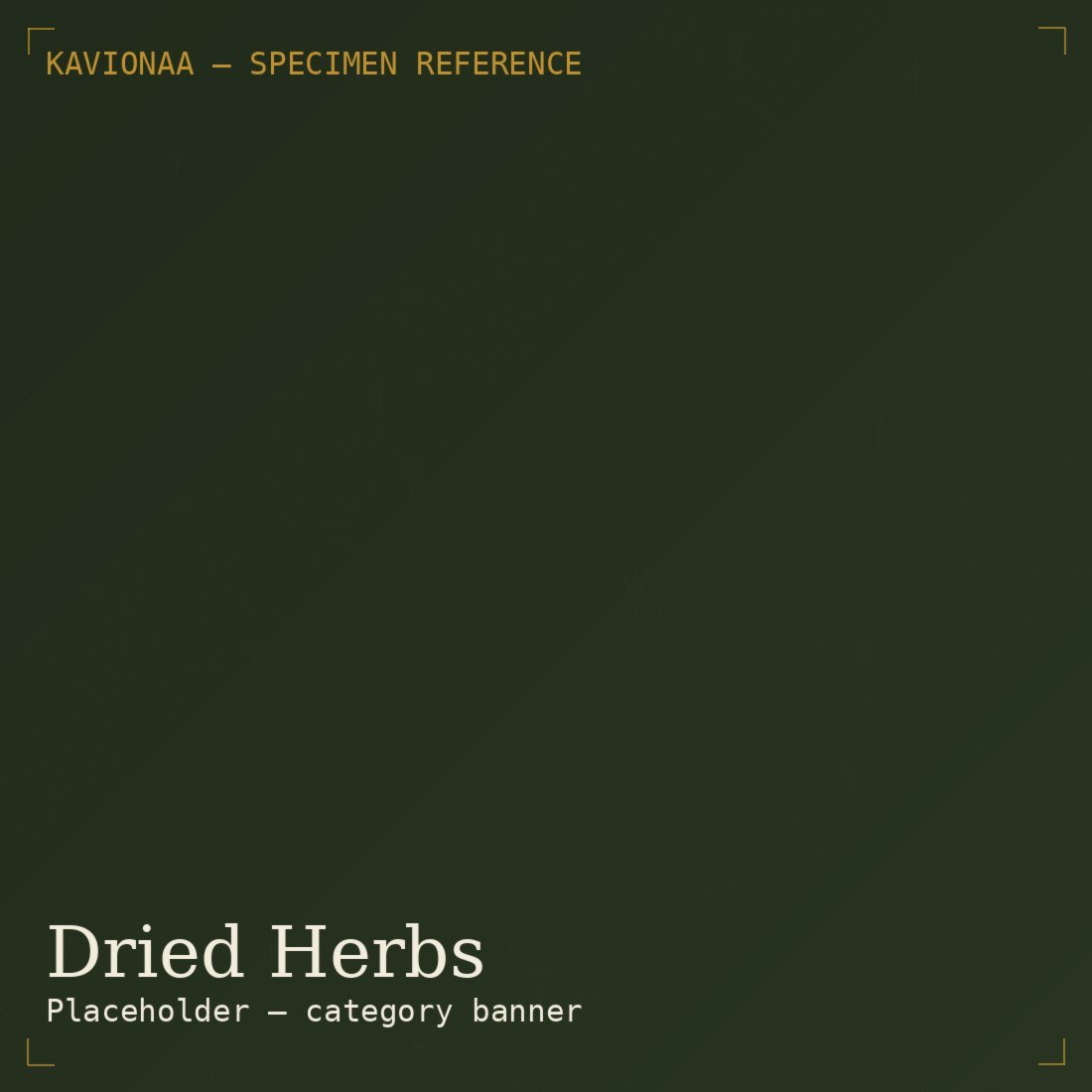 Dried Herbs