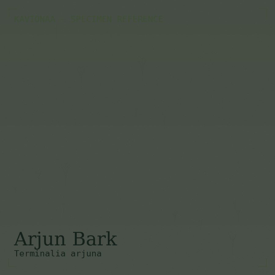 Arjun Bark