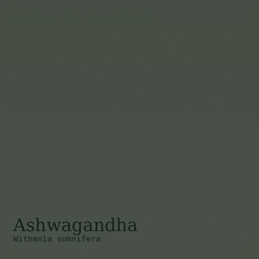 Ashwagandha