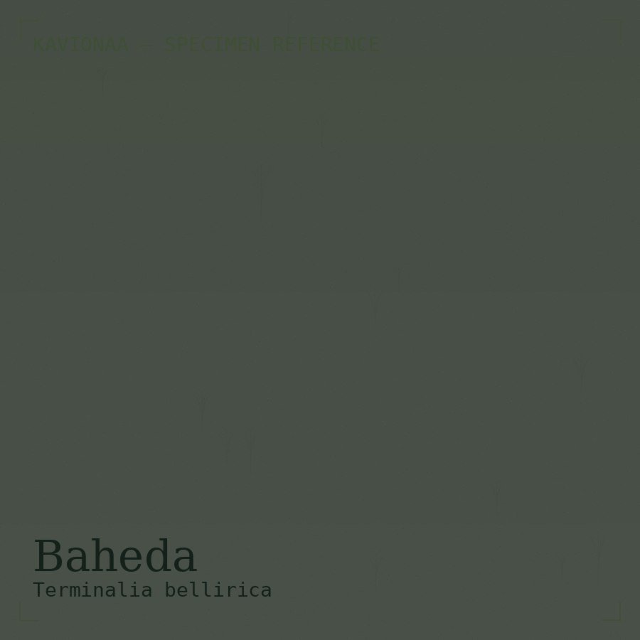Baheda