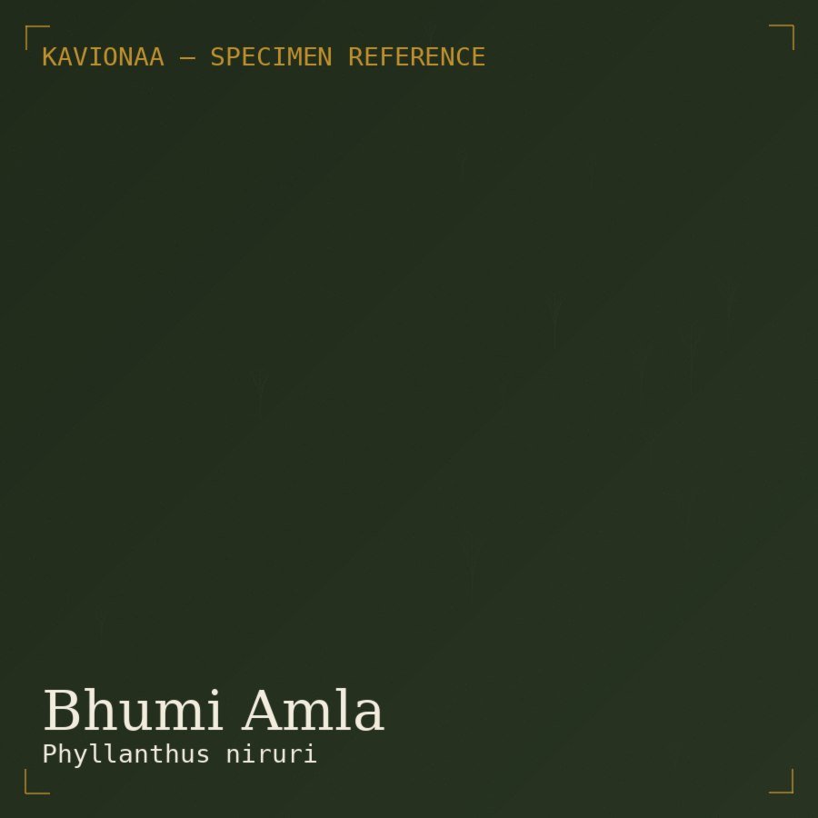 Bhumi Amla