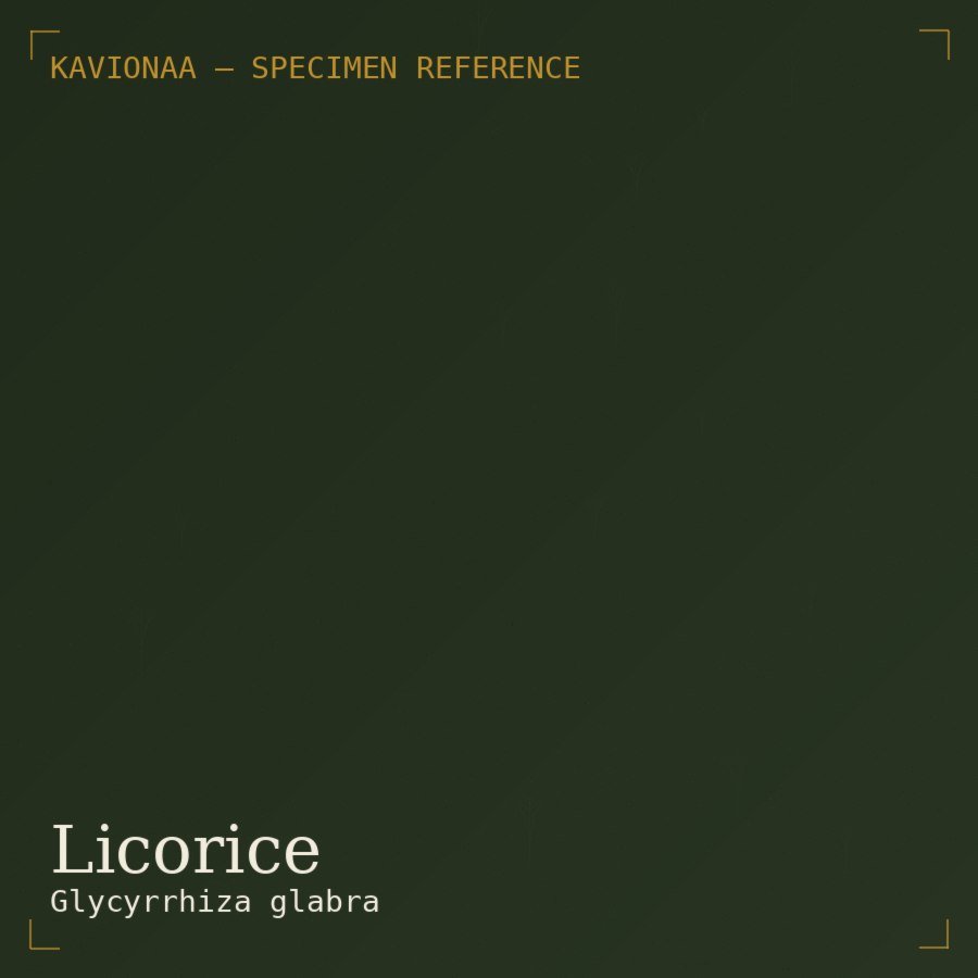 Licorice