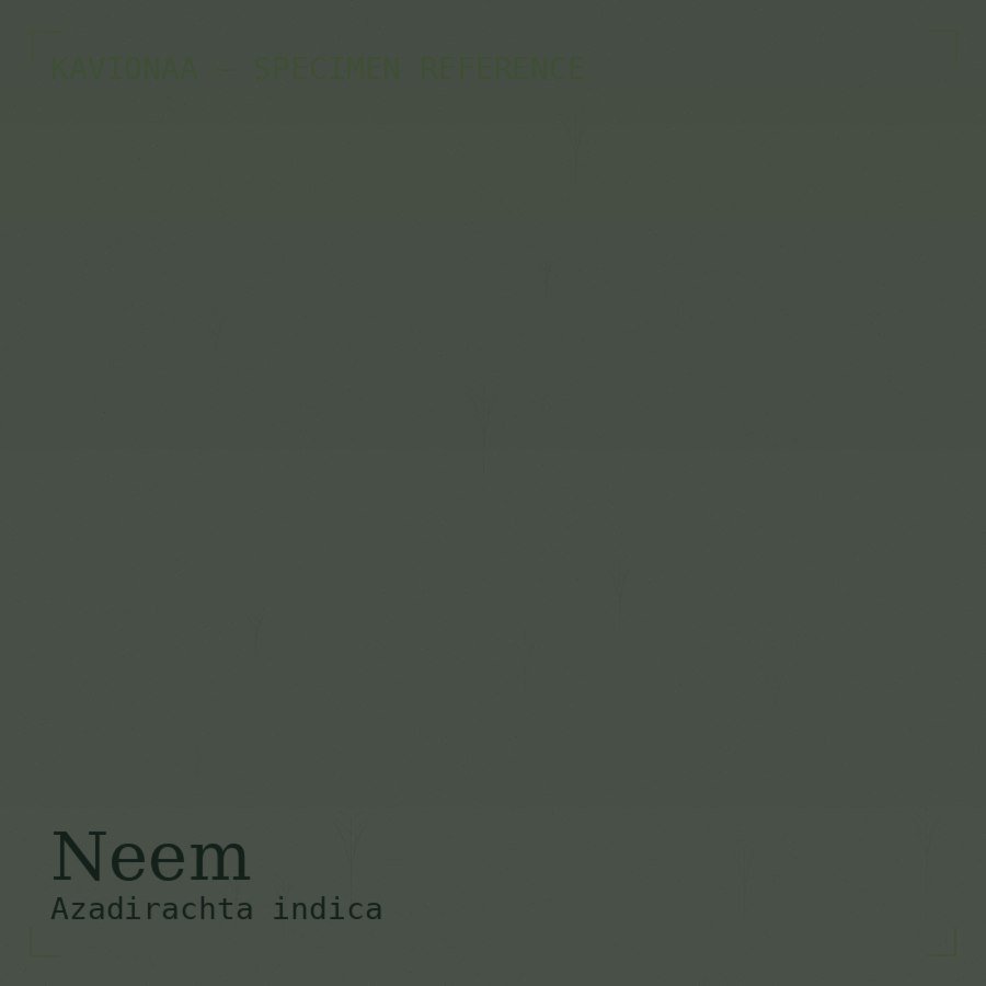 Neem