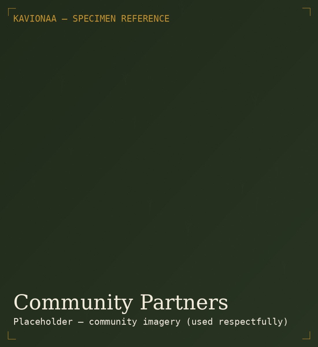 Tribal communities responsibly collecting herbs