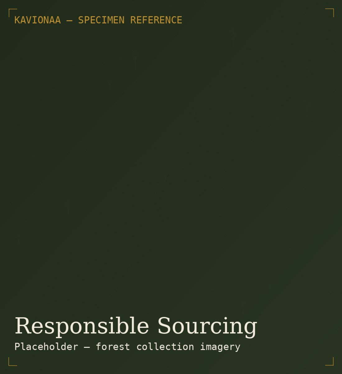 Responsible forest herb collection
